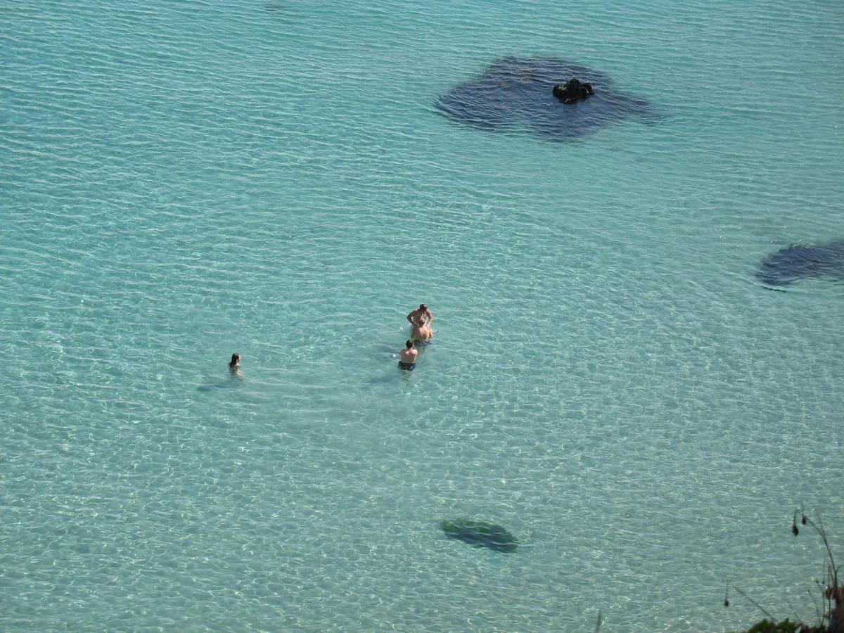 Le Portzic, Appartement Proche Plage De Morgat Crozon Exteriör bild